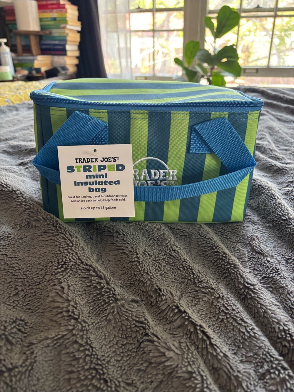 NWT Trader Joe’s striped insulated mini tote blue and green stripe ship same day